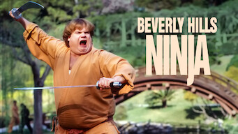 Beverly Hills Ninja (1997)