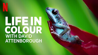 Life in Colour with David Attenborough (2021)