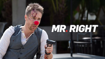 Mr. Right (2015)