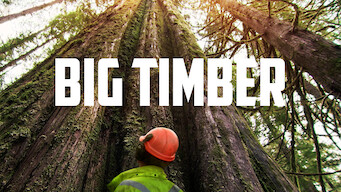 Big Timber (2021)