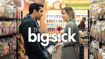 The Big Sick (2017)