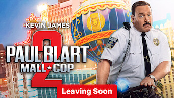 Paul Blart: Mall Cop 2 (2015)