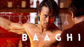 Baaghi (2016)